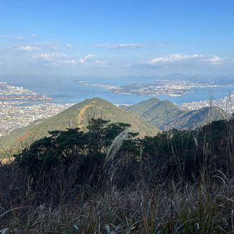 さっきほどじゃ無いけど
藪の向こうに眺望がある！