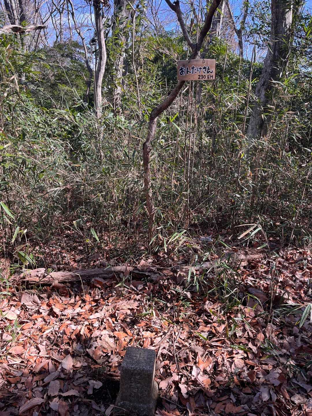 御嶽山登山口-御嶽山 往復コースの写真
