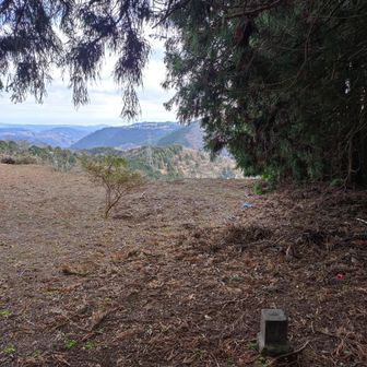 十六天の三角点を写しました。