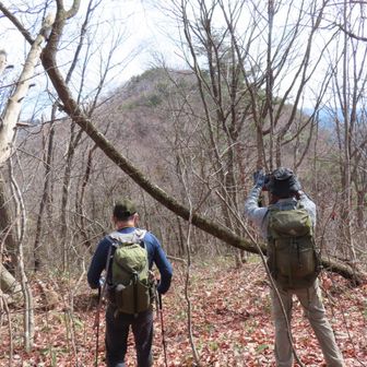 中丿沢山を目指す