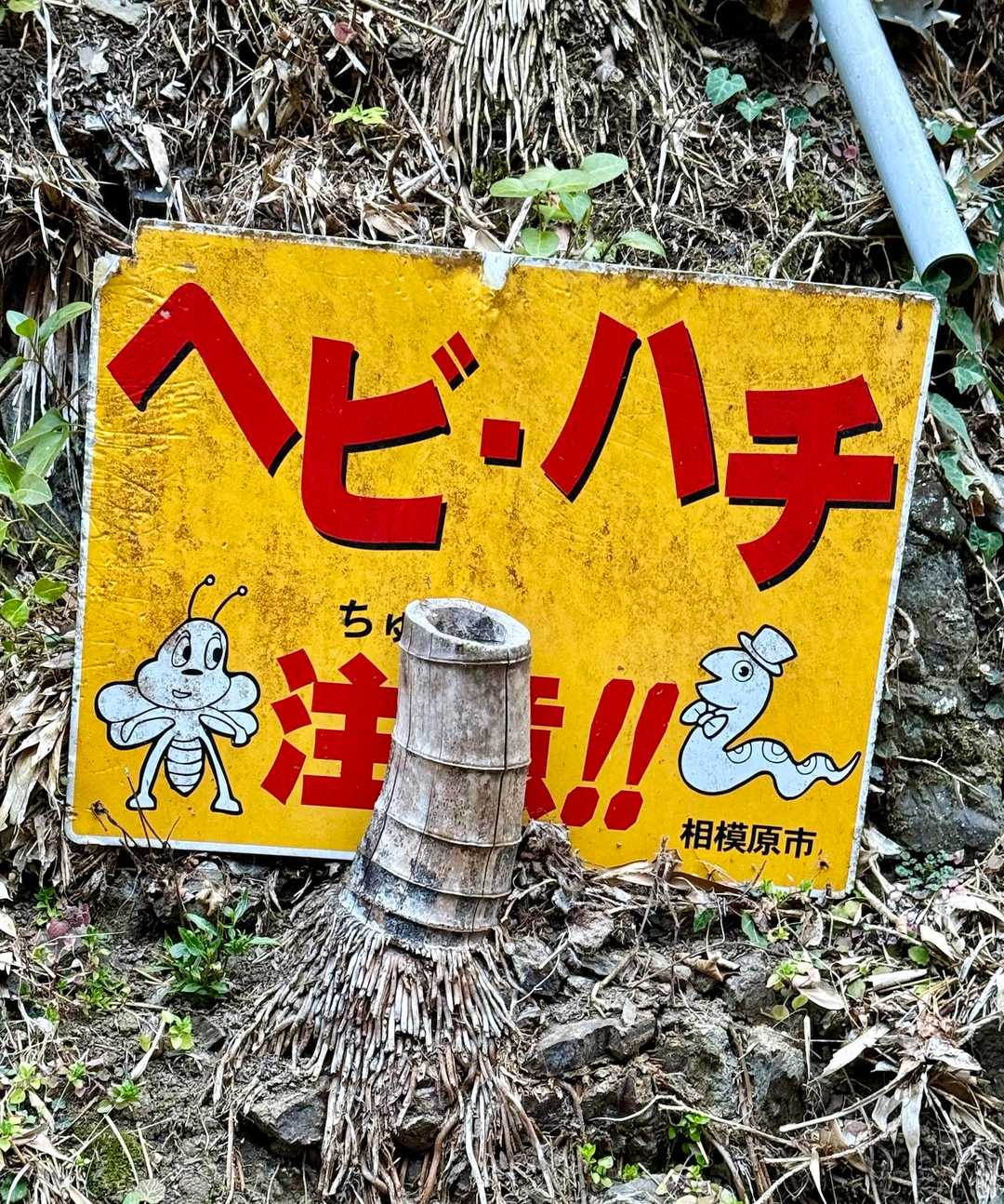 軍刀利神社-佐野川峠-生藤山 往復コースの写真