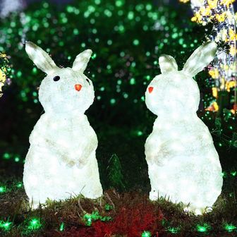 逃げないうさぎ🐇