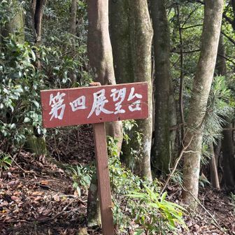第三見逃した💦