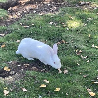 ただいま┏○ﾍﾟｺｯ

おまけ😻