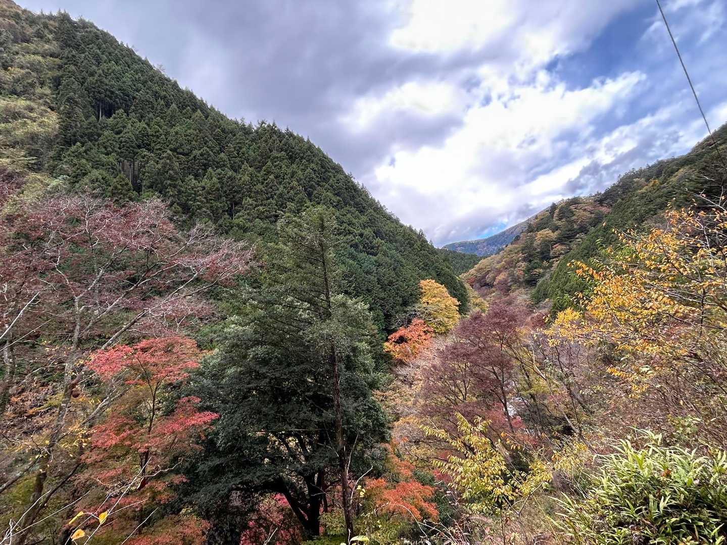 途中でまだ紅葉が残ってるこんな景色も🍁