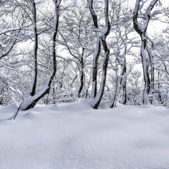 展望こそ全くないが、開けた山頂。
辿り着けた事が、既にご褒美みたいなもん。