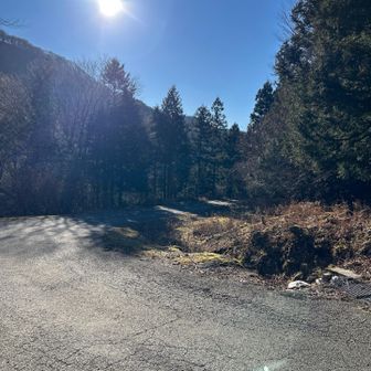 舗装路左に行きます