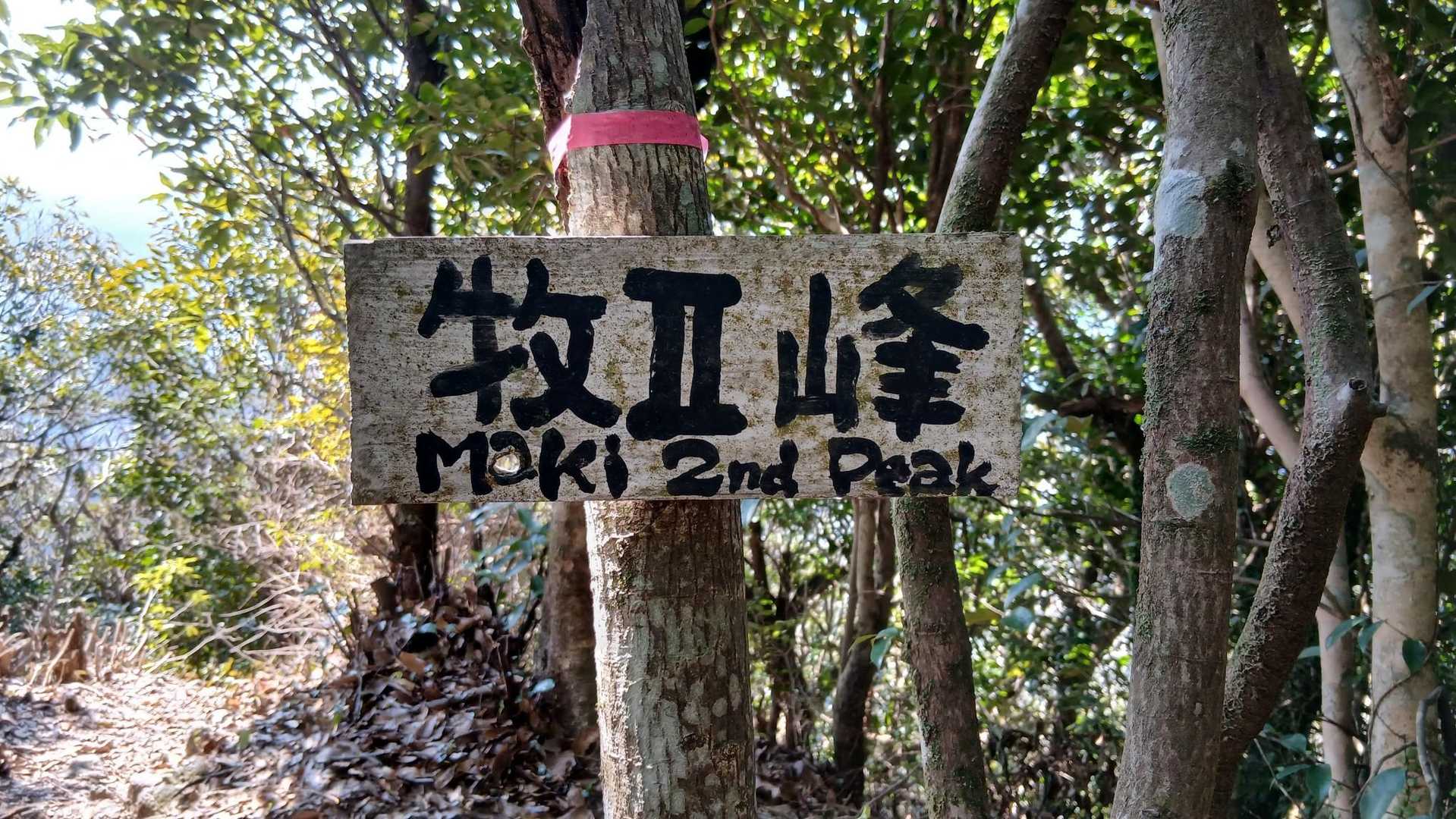牧Ⅱ峰、展望なし
