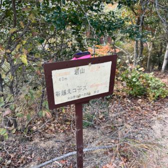 続いて谷超えコースへ