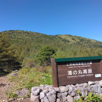 8月にペンキ塗りした看板