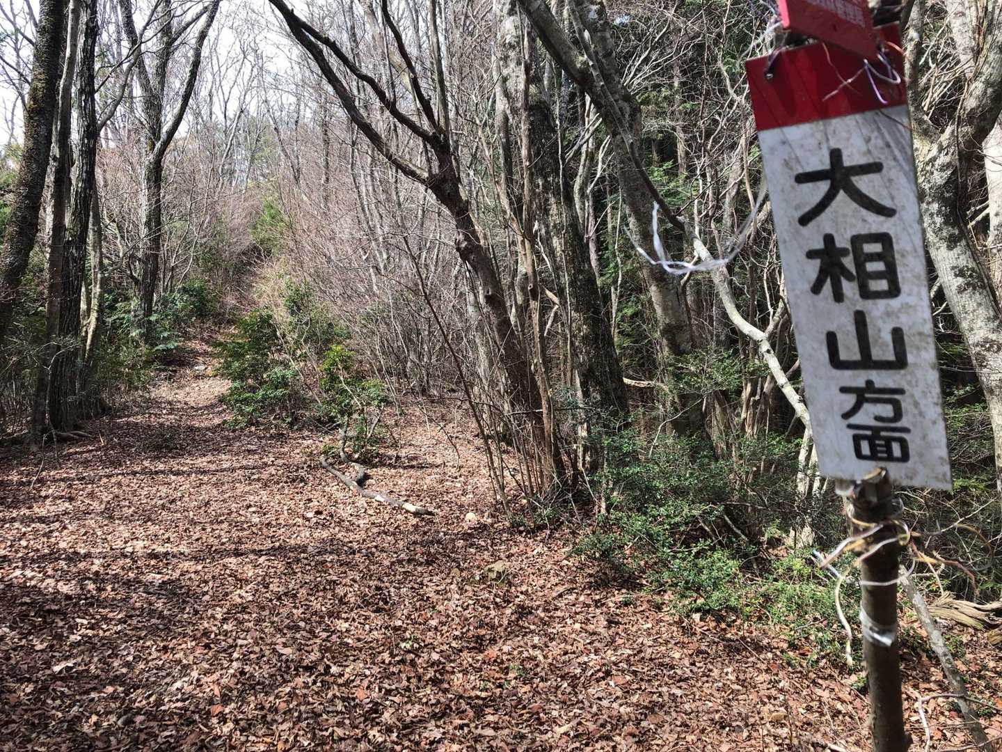 右手