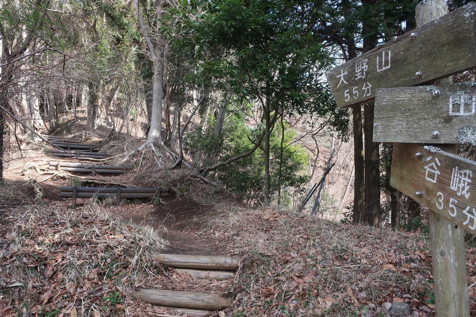 大野山登山口。やっと山道だ。ここまでずっと舗装路でした。
