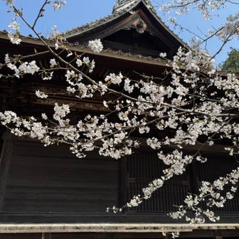観音山　佐野市役所🚗戻ります
帰りに芋フライゲットの予定が、
お店がわからなかった…💧💧