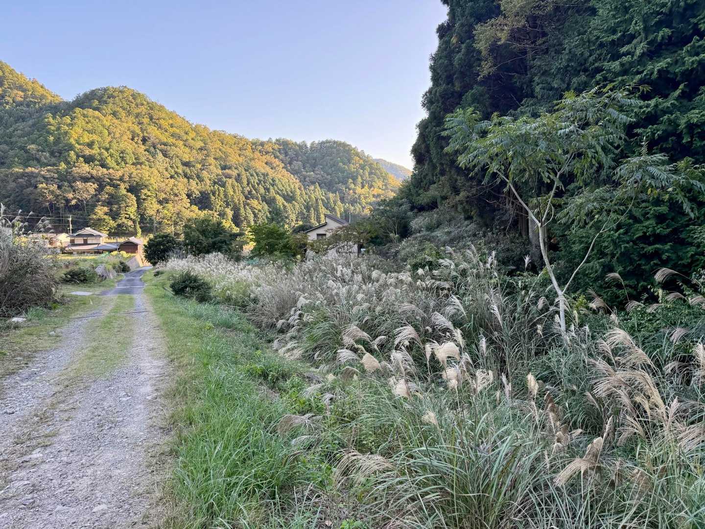 白髪岳登山口-白髪岳 往復コースの写真