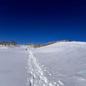先行のお兄さん、暑くて上着を脱ぎ始めた