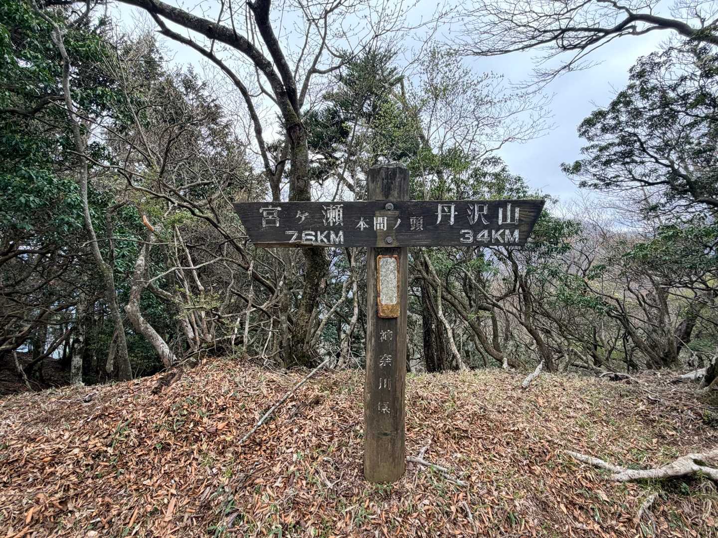 本間ノ頭🪧
