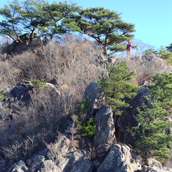 ☀️☀️女体頂上に、
リンドウ娘さんが。