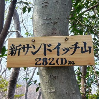 久しぶりの「新サンドイッチ山」🥪