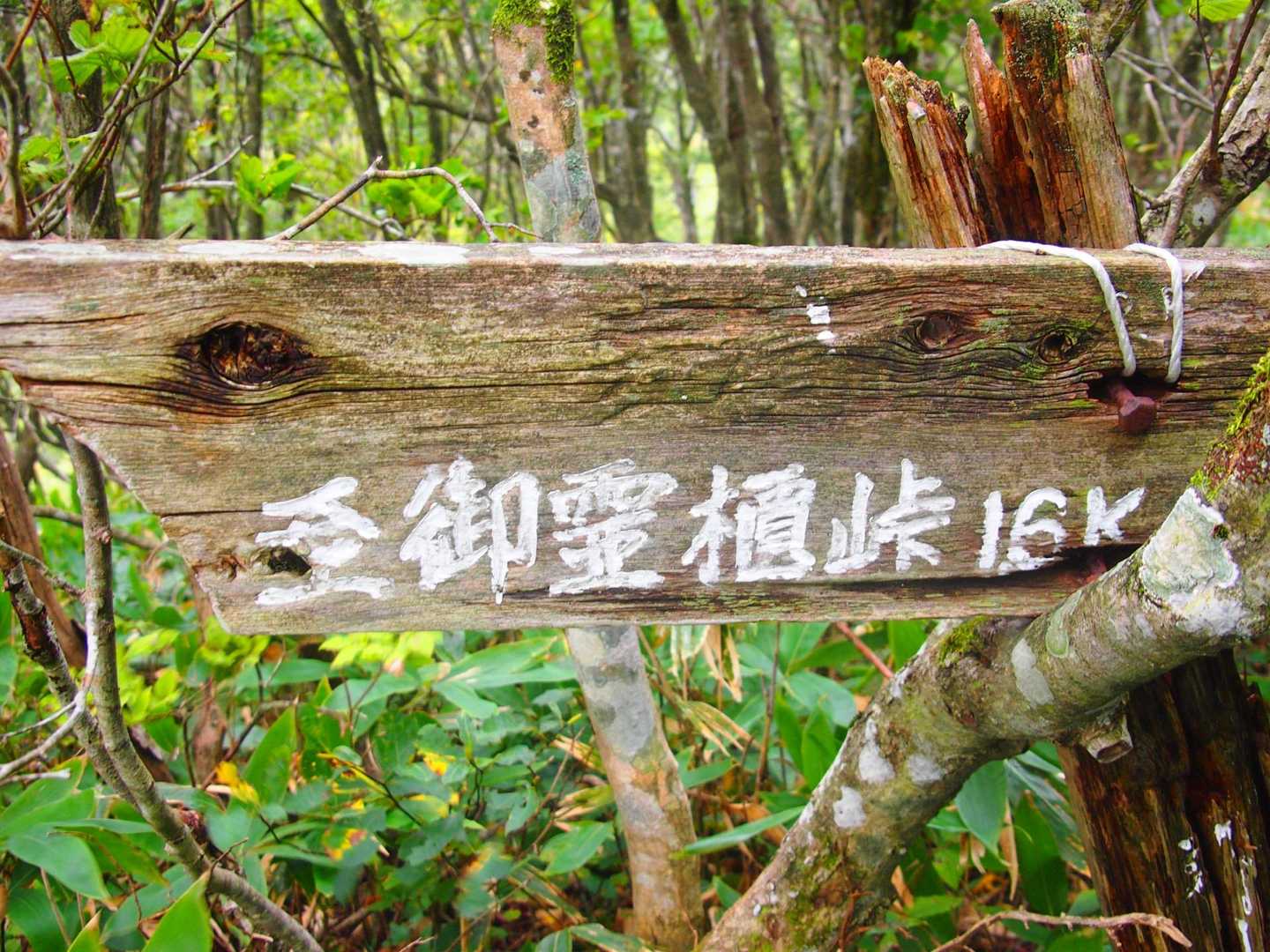 ぜんっぜん読めなかった。笑
調べて　そしてまた忘れた🙄