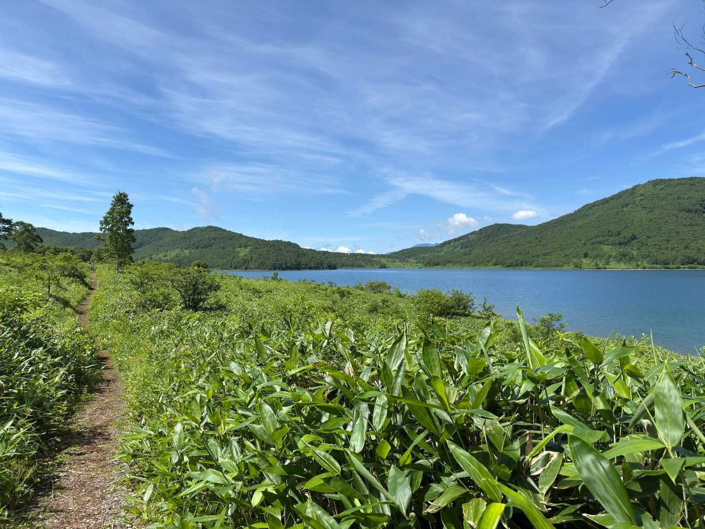 野反湖キャンプ場管理事務所-野反ダム-白砂山登山口-八間山 周回コースの写真