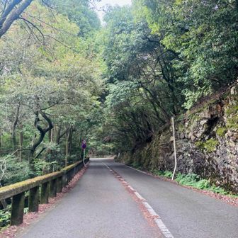 道路に出る
わずかな時間だけど、ごめんけど、なんかきようざめするよね。