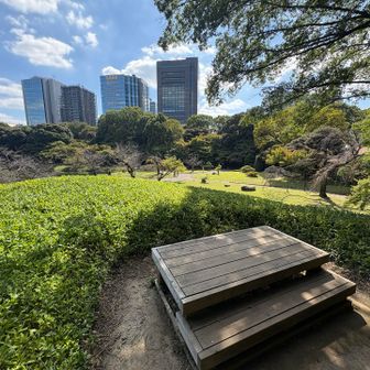 本日4座目
小廬山（しょうろざん）