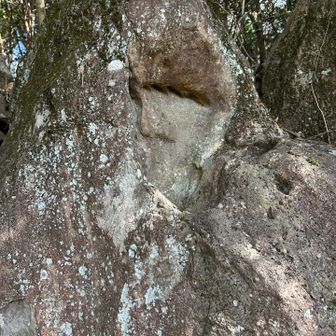 展望台のおじょもの足跡👣