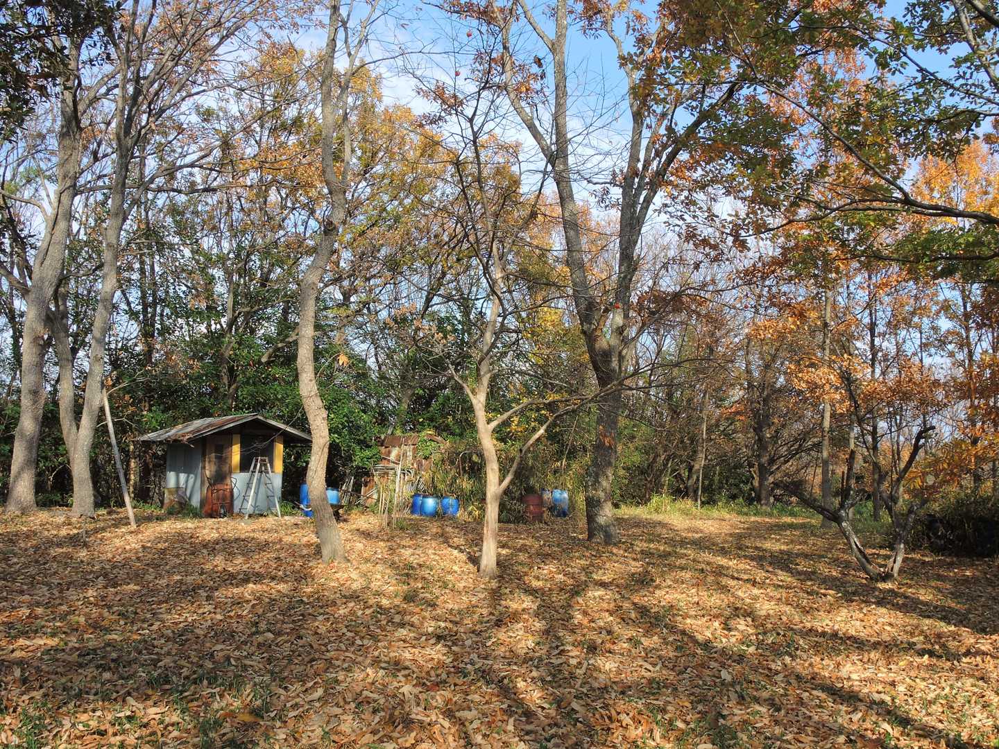 少し鉄塔巡視路から外れて、⑦丸山の山頂です。😃✌️
広い山頂ですが、雑木林に囲まれて、展望はあまり良く無かったです。
