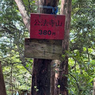公法寺山