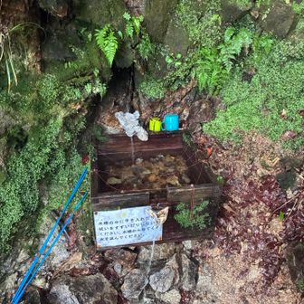 冷たくてうまい