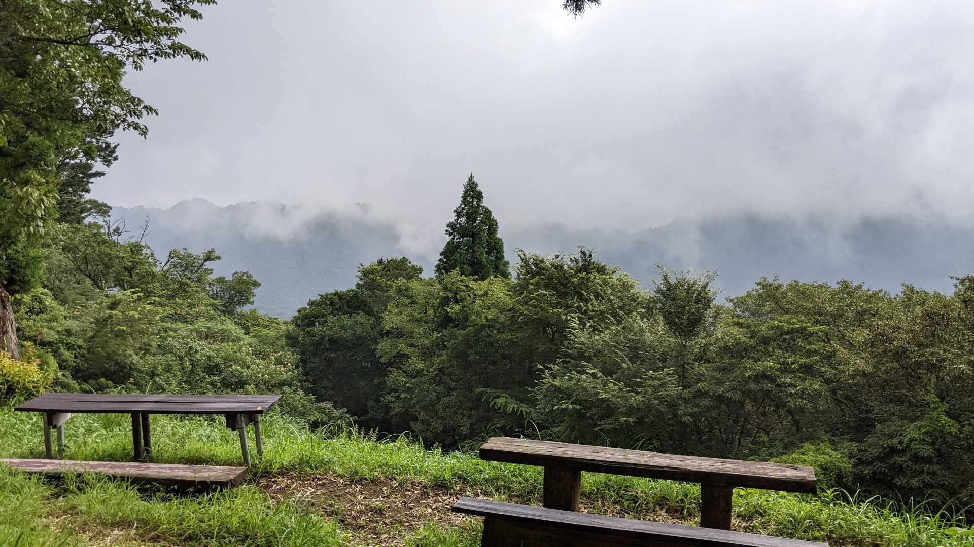 鞍掛峠-満観峰-大ベラ山-高草山 周回コースの写真