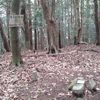 周回コースから少し外れていますが、道に迷う事はありません。
残念ながら、ここも他の山頂と代り映えしません。