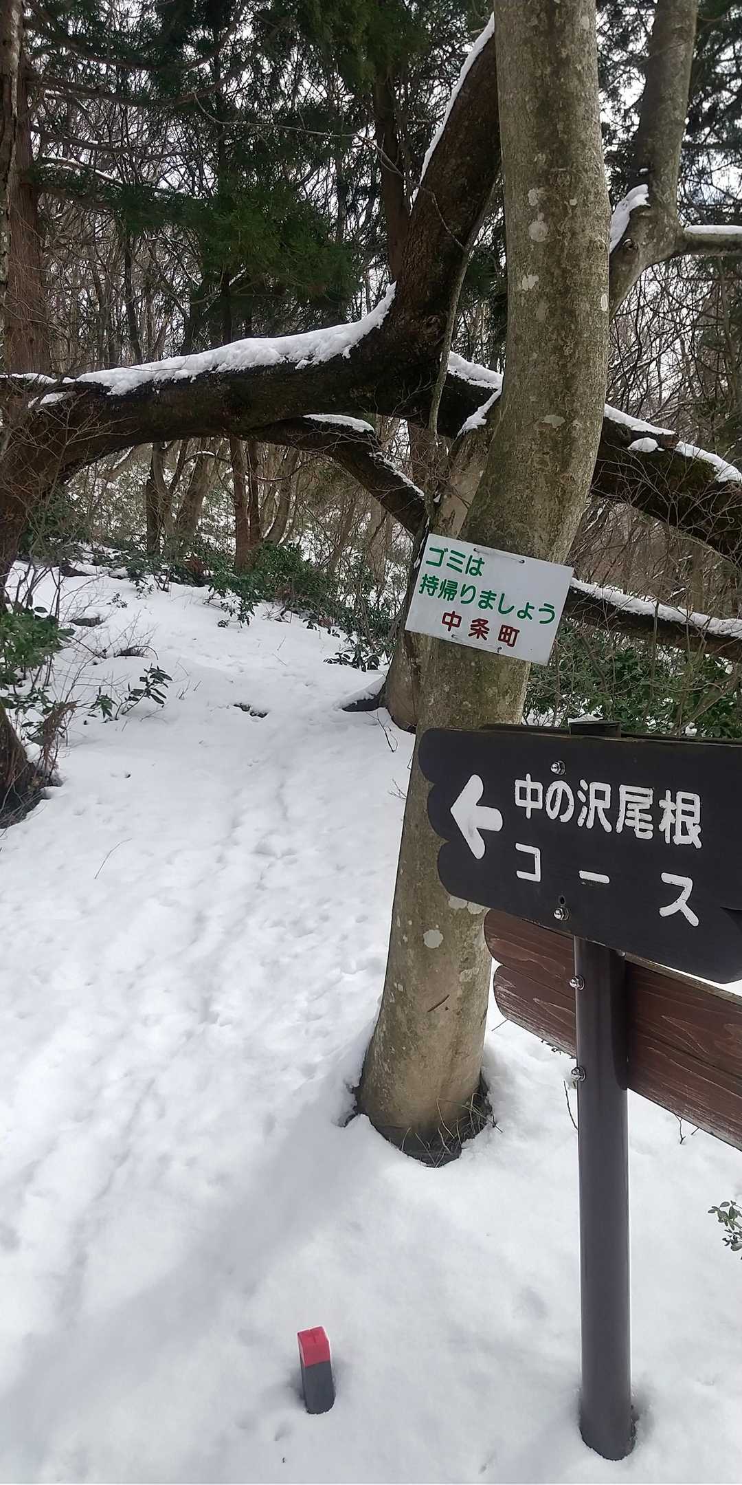 ここから登ります。