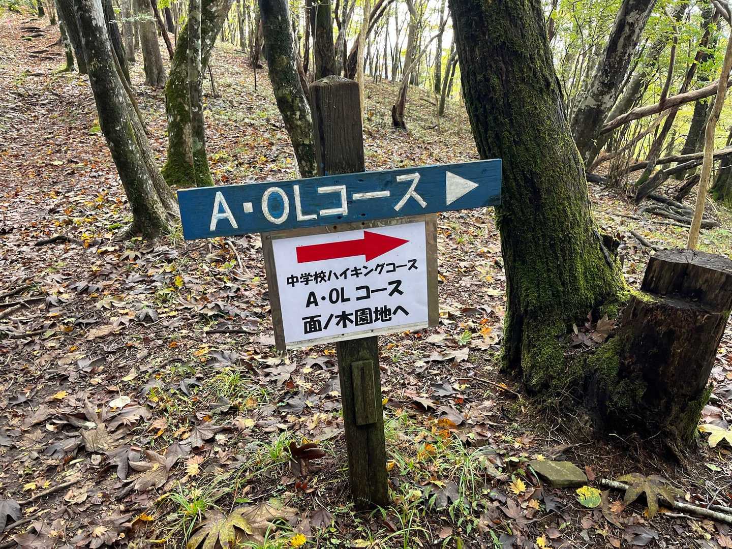 往路で撮影を失念した看板
✳︎A•OLコースって？