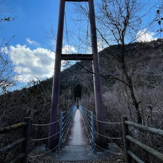 苦手な吊り橋を渡り切って振り返り