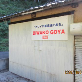 旧賤ケ岳隧道直前、ビワイチ最高標高地点？
