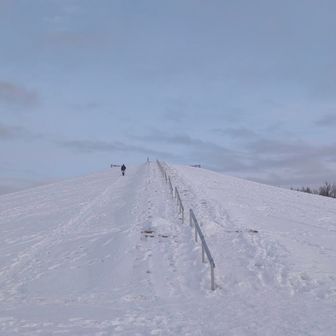 なんかずっと昇り降りを繰り返している人がいて人が写り込まない画を撮れませんでした
こんなところで昇り降りを繰り返しても何のトレーニングにもならないと思うのですが…