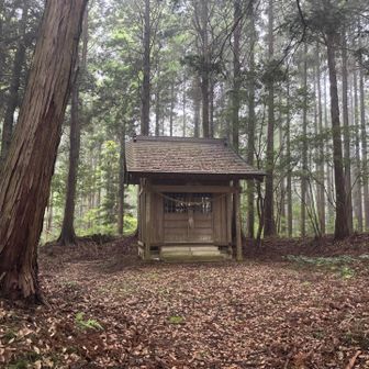 手入れもされていて、周囲も綺麗