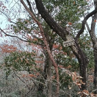 最後の山、新田山
