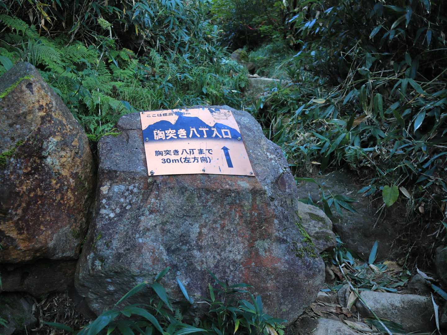 この看板の地点から30mの区間は、胸突き八丁ではないのか❔
入口が30ｍあるってことでOK❔
