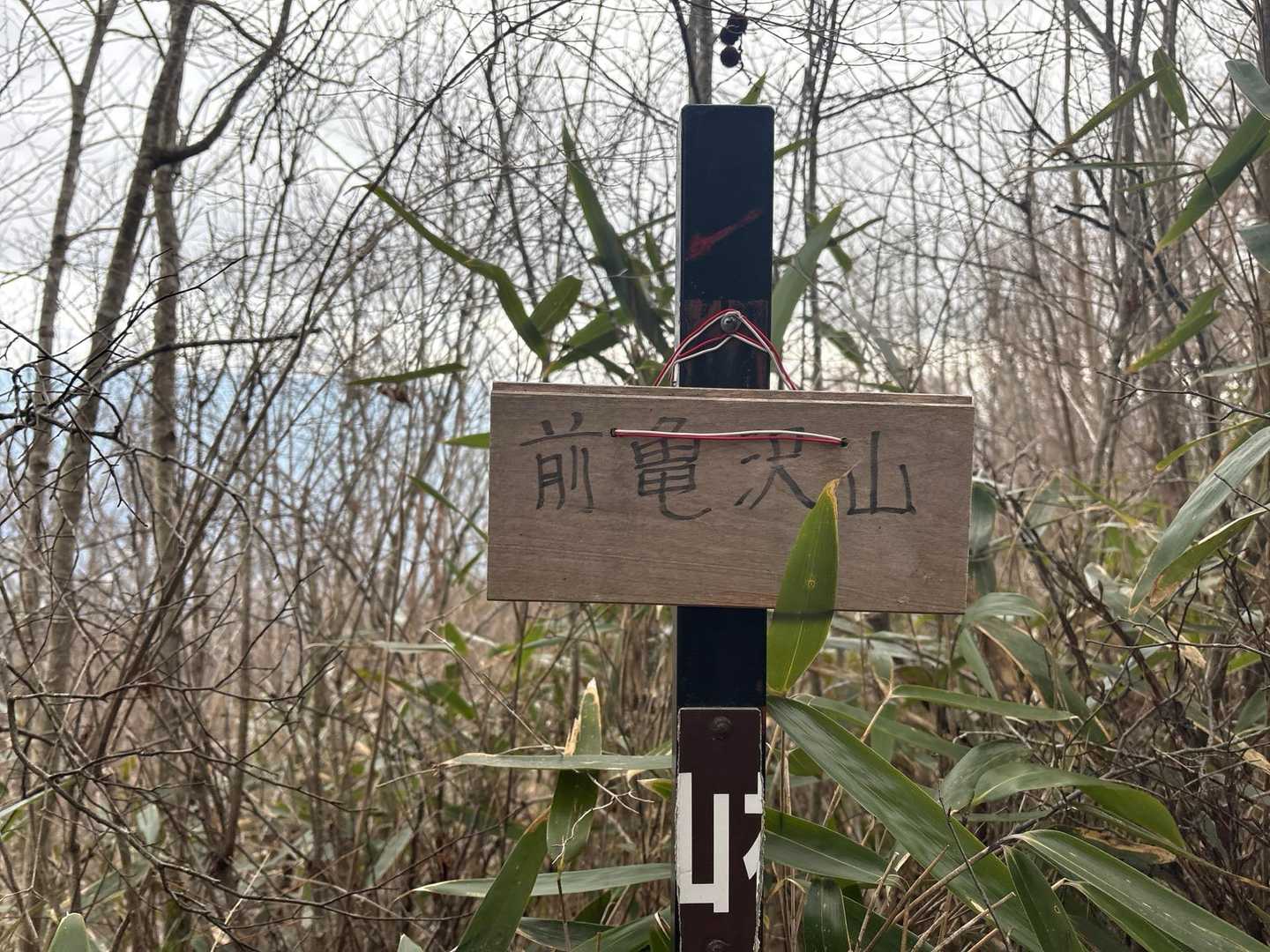 前亀沢山山頂🙌　
ちょっと寂しい山頂😅