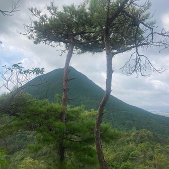 北尾根で、綺麗な山容が徐々に近づいて来る様が気に入っています