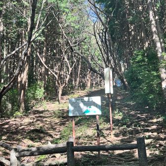 降ってきたところを振り返った