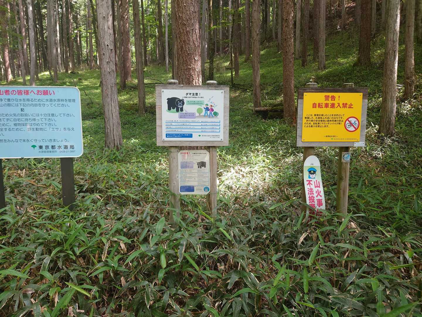 笠取山（作場平）の写真