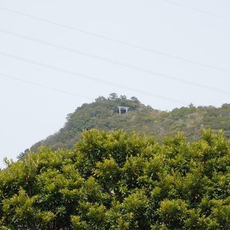 五ヶ所浅間山をズーム📷️

間違えて登りそうになっ
たけど、ほとんどの方は馬山と一緒に登られるようです。（もう１座、切原浅間山を追加しても10km以内）

今回は馬山１座だけでしたが、久しぶりに昔からの友達と楽しい旅が出来て、良かったです。