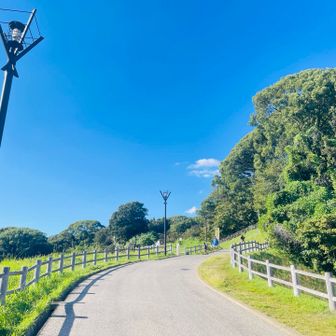 気温も天気も優しい☀️