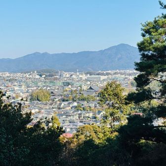 比叡山がよく見える🎶