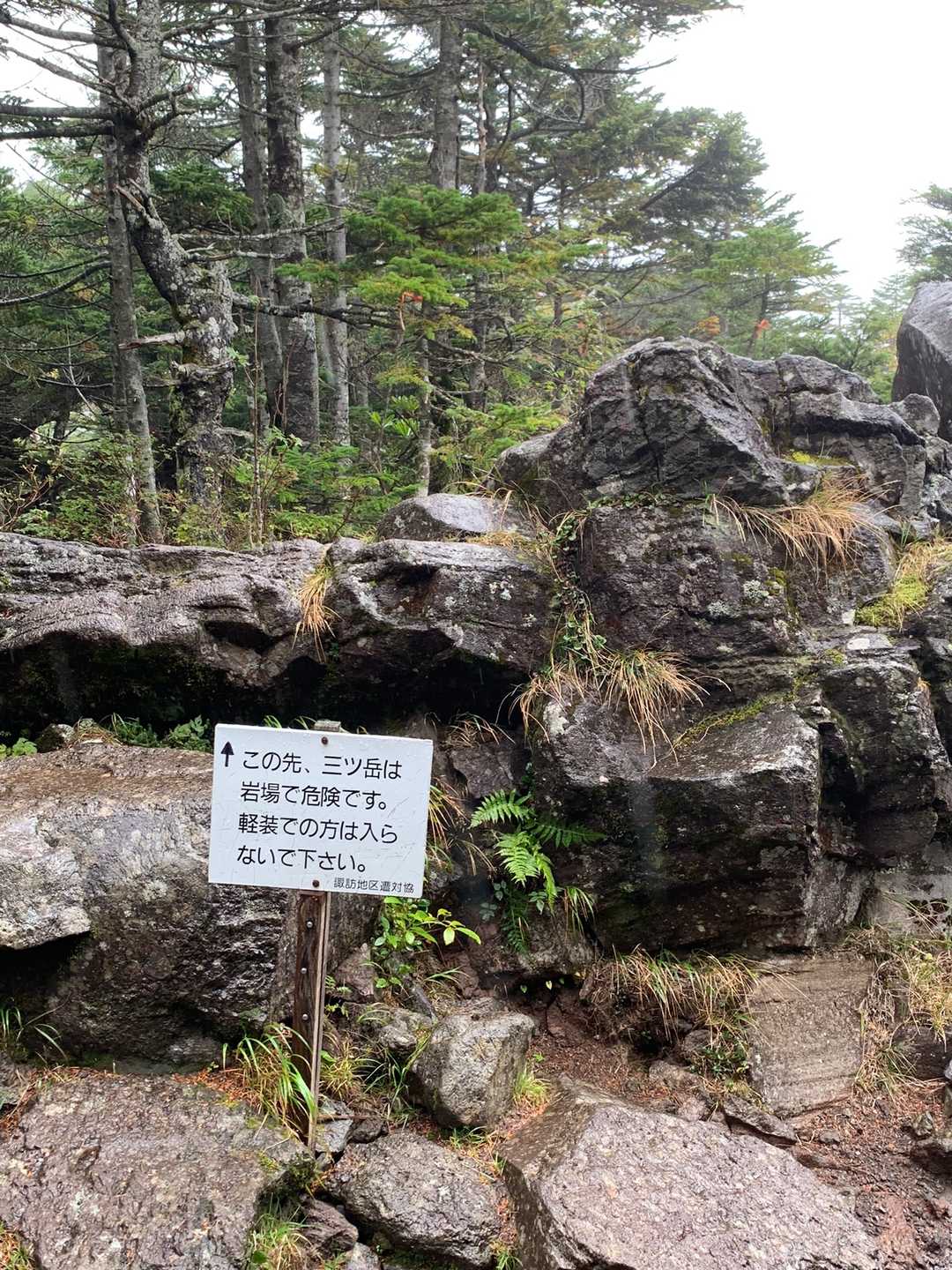 分岐まで無事降りてきました。この先は本当に危険です。覚悟して進んでください！