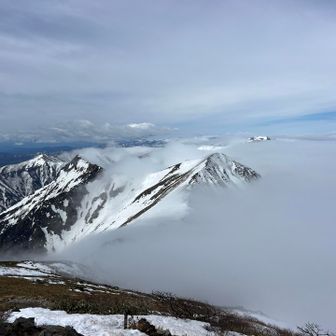 見てみたかった景色