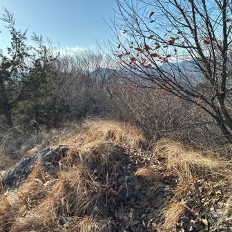 陣場鳥越山、山頂表示なし。